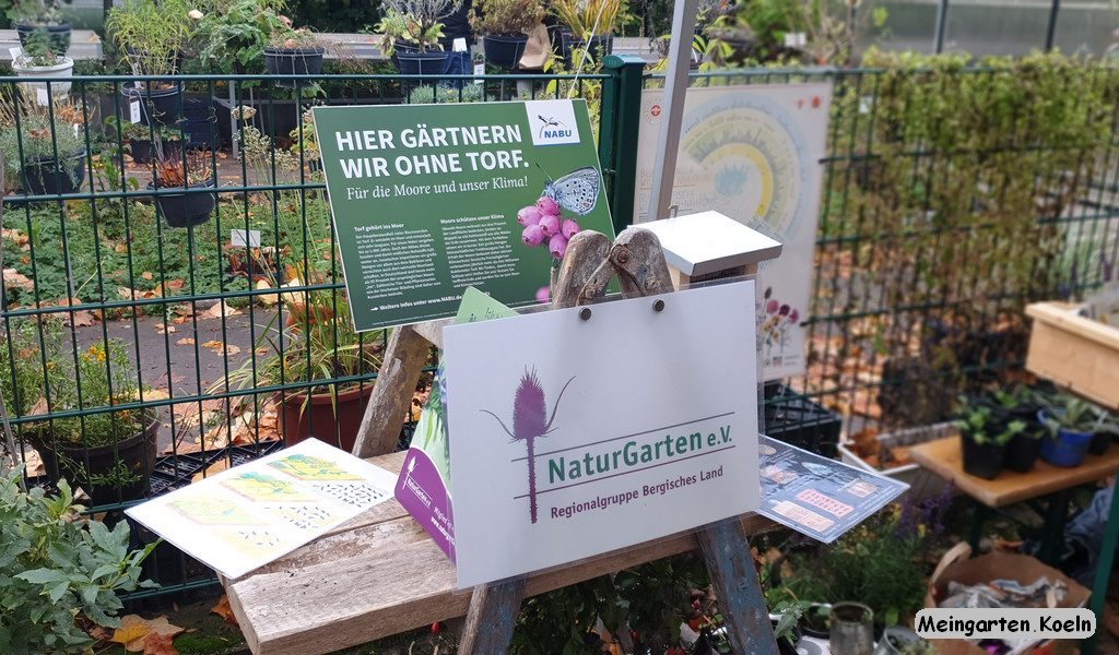 Meingarten Koeln Der Gartenblog Aus Koln Pflanzentauschborse Im Finken